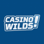 CasinoWilds Logo